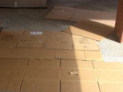 The cardboard the High School students slept on.